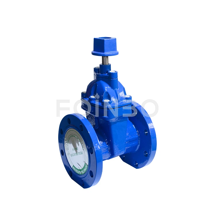 Gate Valve Underground